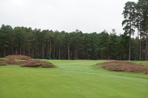 Swinley Forest 14th Fairway